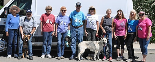 volunteer dog walkers