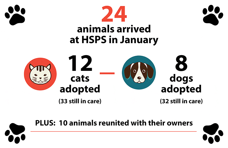 January 2024 animal counts
