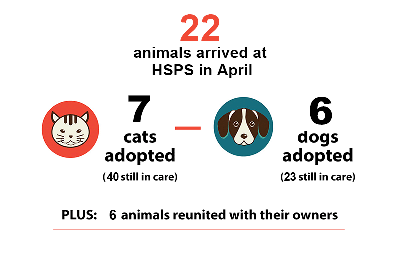 April 2024 animal counts