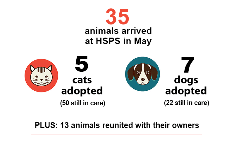 May 2024 animal counts