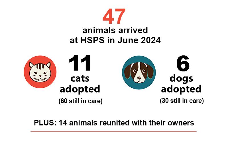 June 2024 animal counts