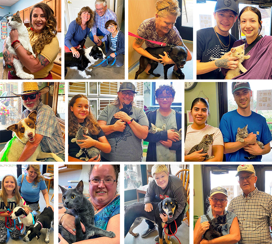 June adoption photo collage