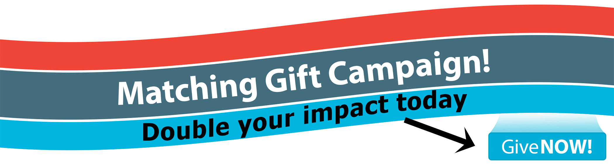 Matching gift campaign banner