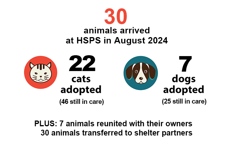 Aug 2024 animal counts