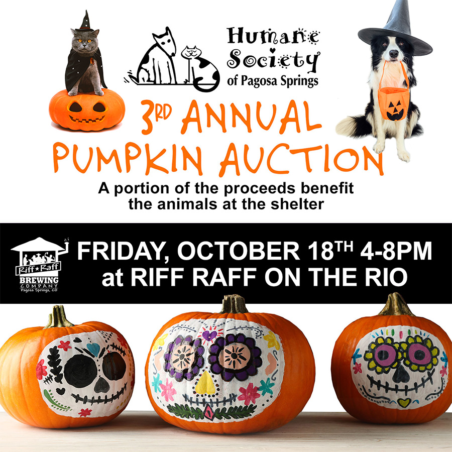 Pumpkin auction and restaurant partnership at Riff Raff on the Rio