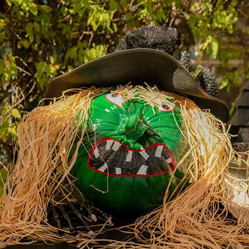 witch pumpkin winner