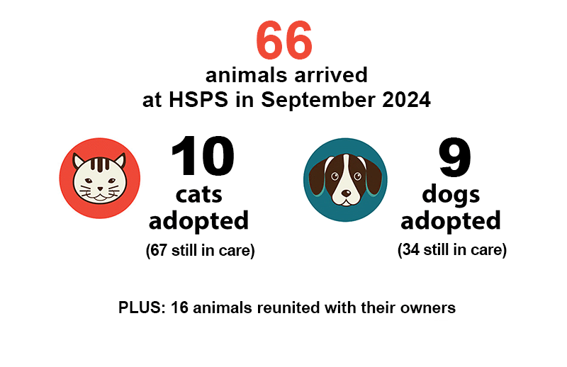 September's 2024 shelter numbers