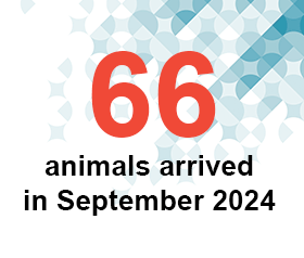 66 animals arrived in Sept 2024