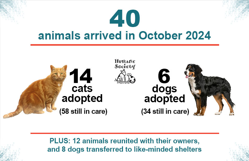 October 2024 shelter numbers