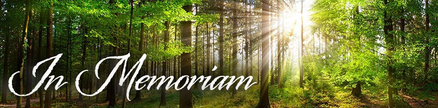 In memoriam header with sunlight peeking through trees