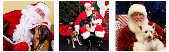 pets with Santa photo collage