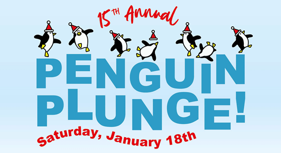 Penguin Plunge banner