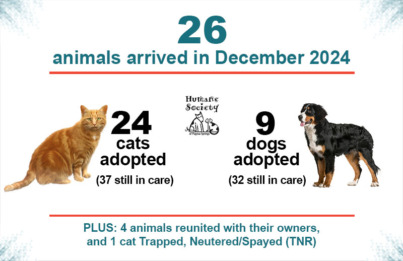 December 2024 Animal Counts graphic