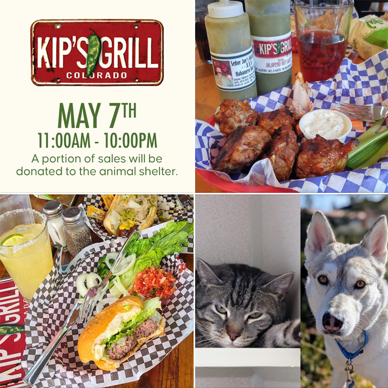 Kips Grill logo, chicken wings, burger basket