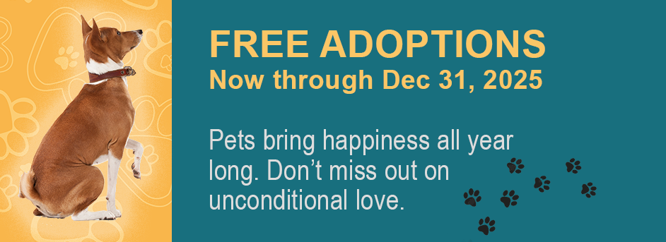 free adoptions through Dec 31, 2025 banner