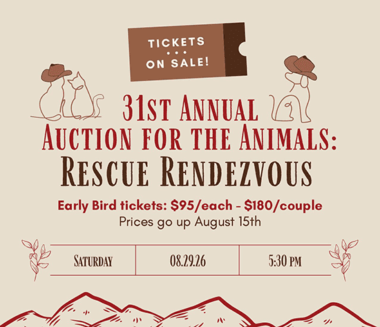 31st Auction for the Animals banner