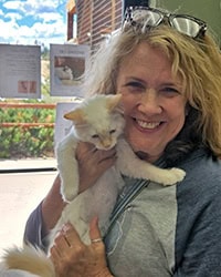 White kittens Dumpling's Adoption
