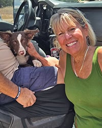 brown and white dog on the lap of new owners