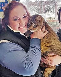 large brown tabby cat being hugged by new owner