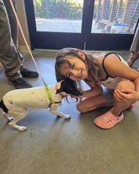 little dog Maggie's adoption with little girl