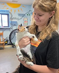 kitten being held and looking at new owner