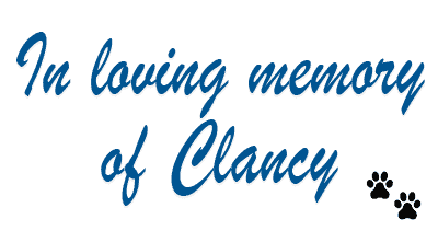 In loving memory of Clancy