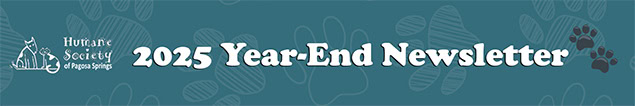 2025 year-end newsletter banner