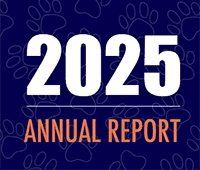 2025 annual report graphic