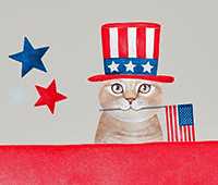 cat holding American flag in his mouth graphic