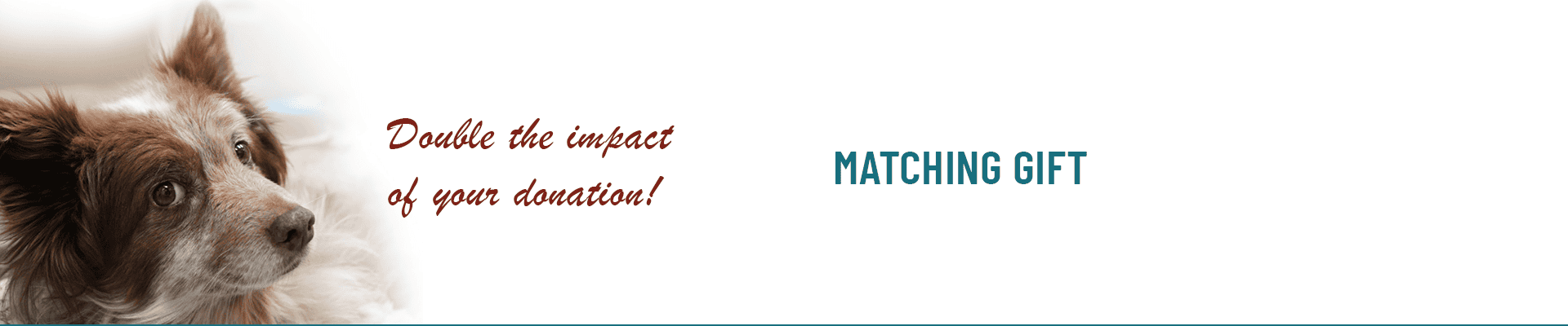 matching gift campaign banner