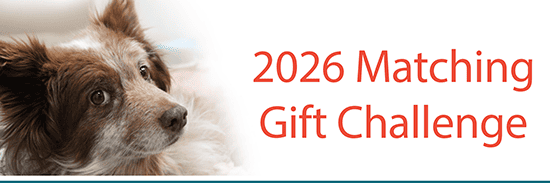 matching gift campaign banner
