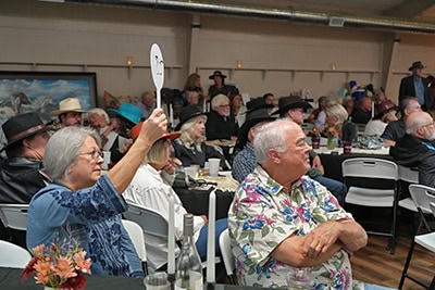 bidding at the auction for the animals